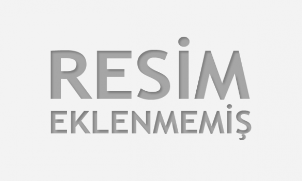 ATIŞTIRMALIKLAR